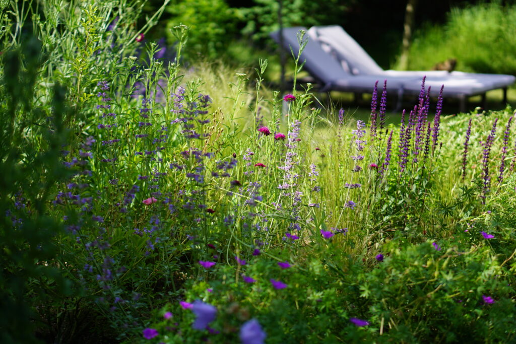 Beetansicht und Liegen im Garten